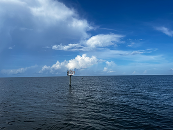 20250624_SH (1).HEIC