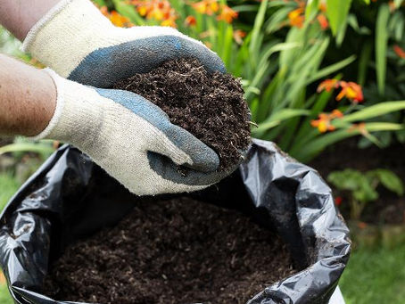 High quality garden compost - back again by popular demand