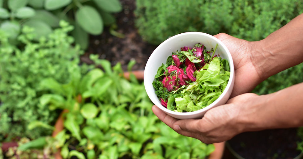 person holding bowl of greens_edited.jpg