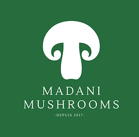 LOGO M.M 222-01.png