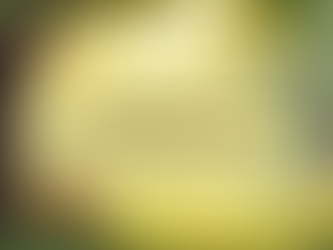 Honoring Life and the Earth: The Beauty of Green Burials