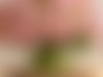 Memorial Service Ideas for a Personal Touch