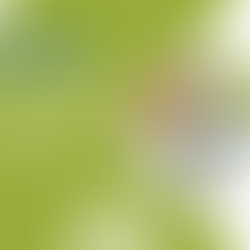 Improve Your Today. Better Your Financial Tomorrow.