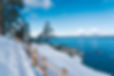InsideIncline_InclineVillageRealEstate_ImagesByPerriRunion-7.jpg