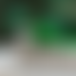 Incline Village Real Estate Market Update