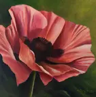 sold-poppy-12x12-acrylic-on-canvas.webp