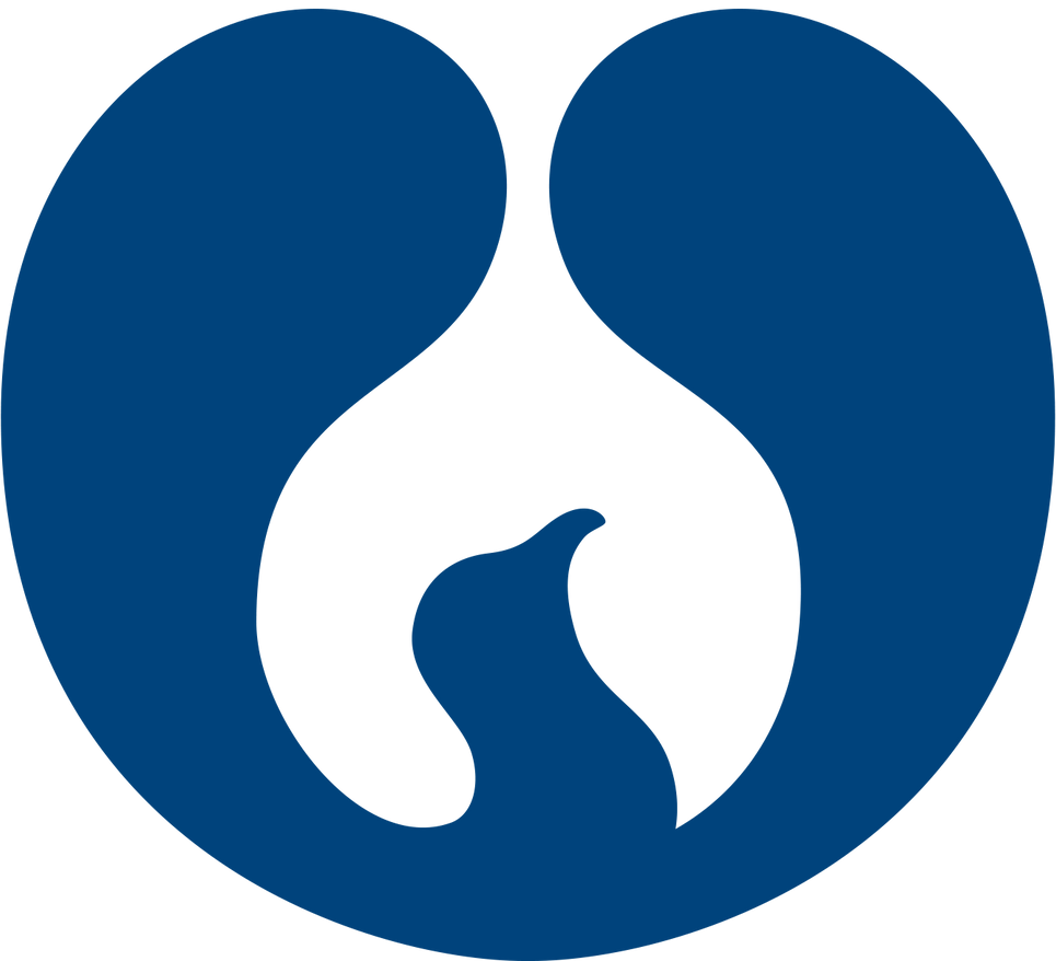 PhoenixIcon-Blue-WEB.png