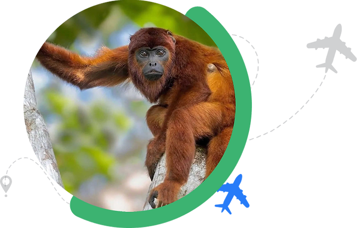 tours en la selva