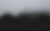 BOSQUE.png