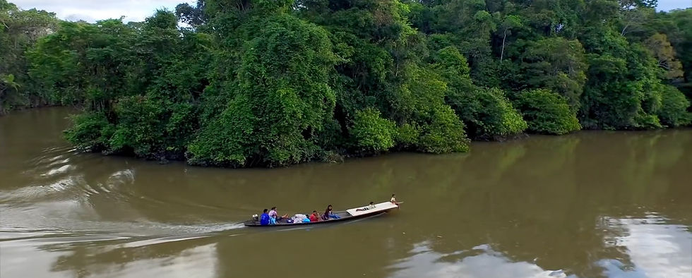 AMAZONAS 4