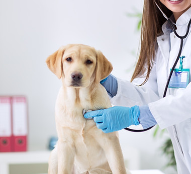 Wix service image.jpg