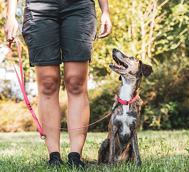 Wix service image.jpg