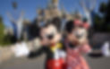 Authorized Disney Vacation Planners