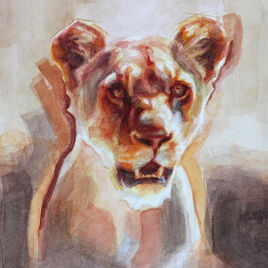Lion, lioness, pride
Watercolour wildlife
colourful
red orange
bright colour
orange red
dramatic
gift present
interior design
bright colourful coloured art animal nature wildlife