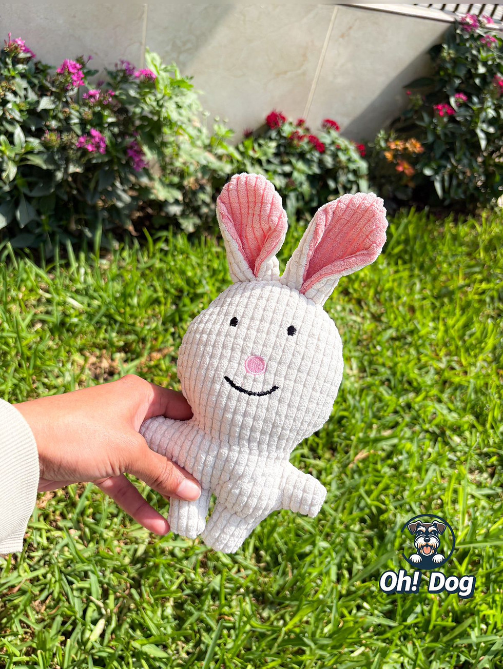 Miniatura: Juguete, Peluches para Mascota