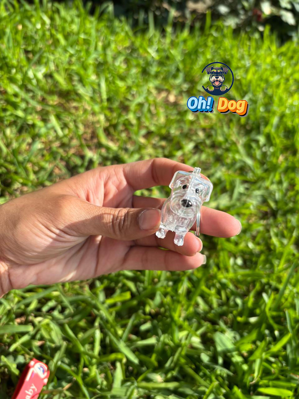 Miniatura: Llaveritos Portapelo Mascota