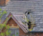 roof repair.jpg