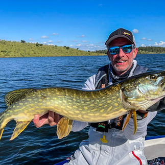 pêche Extremadura séjour pêche du brochet avec les meilleurs guides d'espagne cédrick plasseau séjour pêche tout compris  haut de gamme, meilleur guide, meilleur table, séjour pêche du brochet leurre de surface