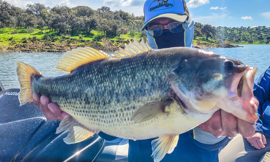 Séjour pêche en Estrémadure Espagne Guide de pêche Cédrick Plasseau, séjour tout compris, pêche brochet, black bass, sandre, barbeau, chanel catfish, haut de gamme, big bass espagne