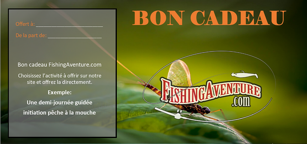 bon cadeau initiation pêche à la mouche guide de pêche