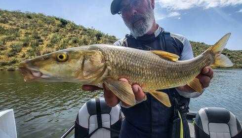 Séjour pêche en Estrémadure Espagne Guide de pêche Cédrick Plasseau, séjour tout compris, pêche brochet, black bass, sandre, barbeau, chanel catfish, haut de gamme, pêche barbeau