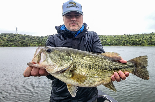 Séjour pêche en Estrémadure Espagne Guide de pêche Cédrick Plasseau, séjour tout compris, pêche brochet, black bass, sandre, barbeau, chanel catfish, haut de gamme, séjour pêche black bass