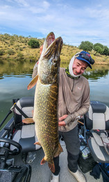 Séjour pêche en Estrémadure Espagne Guide de pêche Cédrick Plasseau, séjour tout compris, pêche brochet, black bass, sandre, barbeau, chanel catfish, haut de gamme, voyage brochet