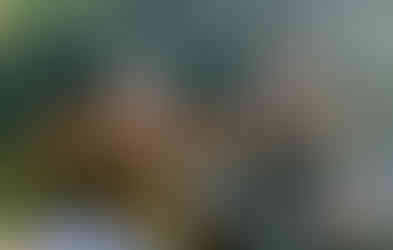 stage pêche du brochet limousin guide de pêche 