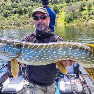 pêche Extremadura séjour pêche du brochet avec les meilleurs guides d'espagne cédrick plasseau séjour pêche tout compris  haut de gamme, meilleur guide, meilleur table, séjour pêche du brochet, top water