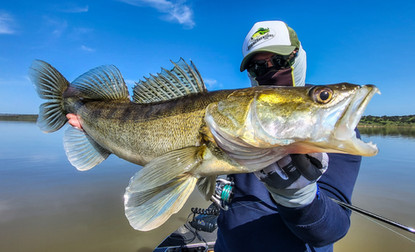 Séjour pêche en Estrémadure Espagne Guide de pêche Cédrick Plasseau, séjour tout compris, pêche brochet, black bass, sandre, barbeau, chanel catfish, haut de gamme, gros sandre en lineaire