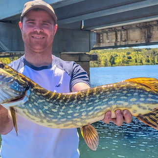 pêche Extremadura séjour pêche du brochet avec les meilleurs guides d'espagne cédrick plasseau séjour pêche tout compris  haut de gamme, meilleur guide, meilleur table, séjour pêche du brochet, leurre