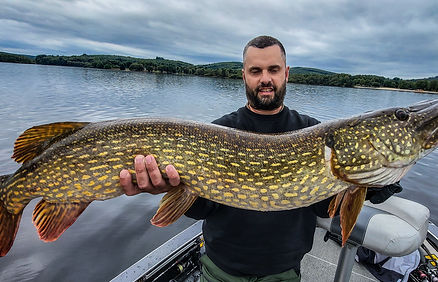 pêche du brochet en haute vienne Vassiviere limousin avec cedrick plasseau guide de pêche
