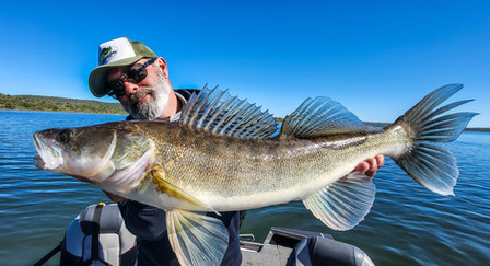Séjour pêche en Estrémadure Espagne Guide de pêche Cédrick Plasseau, séjour tout compris, pêche brochet, black bass, sandre, barbeau, chanel catfish, haut de gamme, sandre au live