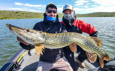 Séjour pêche en Estrémadure Espagne Guide de pêche Cédrick Plasseau, séjour tout compris, pêche brochet, black bass, sandre, barbeau, chanel catfish, haut de gamme, brochet au leurre à vu