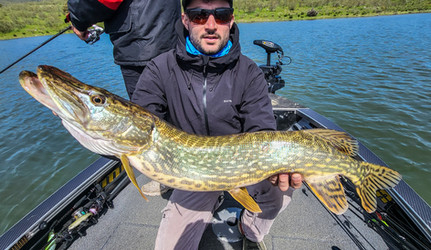 Séjour pêche en Estrémadure Espagne Guide de pêche Cédrick Plasseau, séjour tout compris, pêche brochet, black bass, sandre, barbeau, chanel catfish, haut de gamme, gros brochet top water