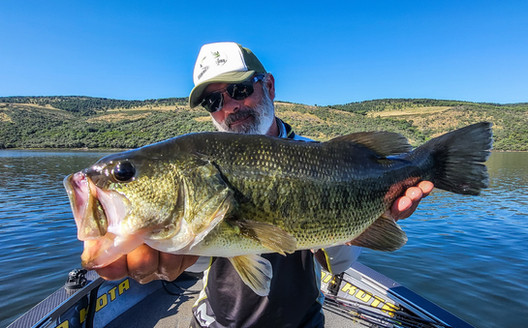Séjour pêche en Estrémadure Espagne Guide de pêche Cédrick Plasseau, séjour tout compris, pêche brochet, black bass, sandre, barbeau, chanel catfish, haut de gamme, big bass top water