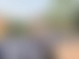 SEMANA POR LA PAZ 🕊️ 🙏