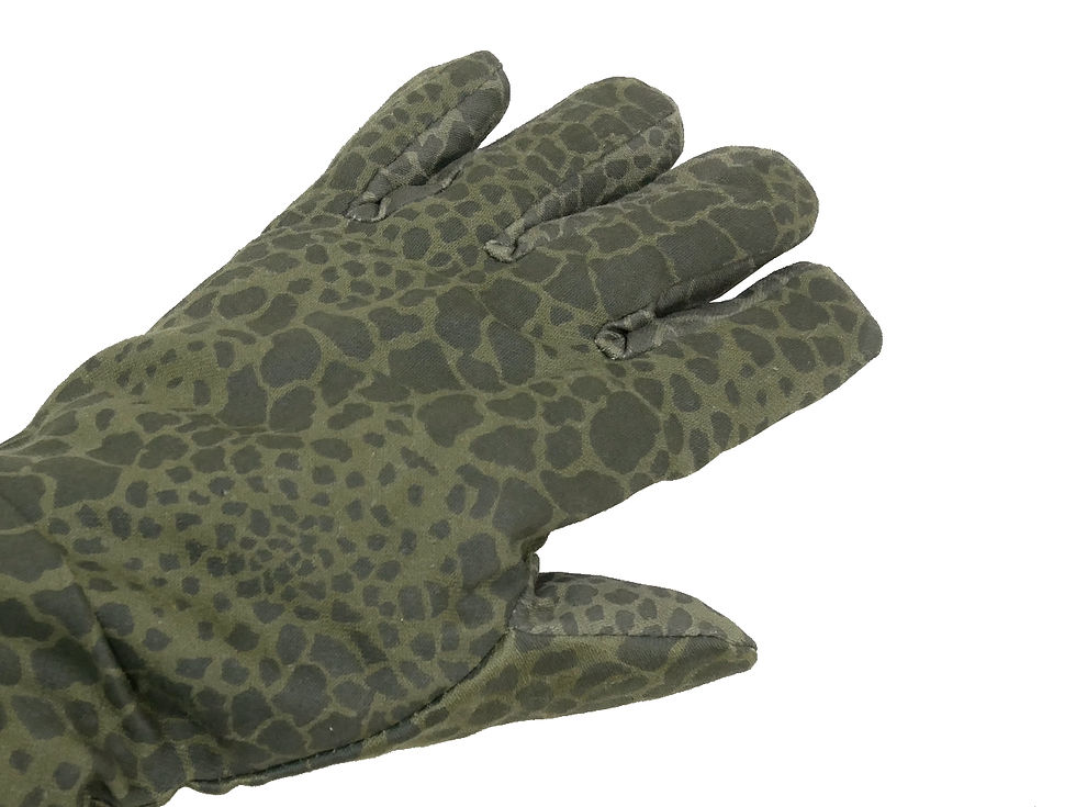 ポーランド軍 ウィンターグローブ プーマカモ