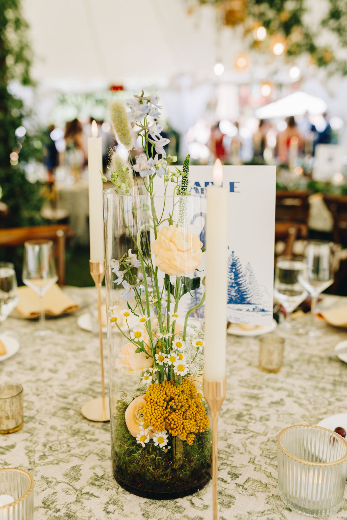 OliviaReedPhoto-85 (2)