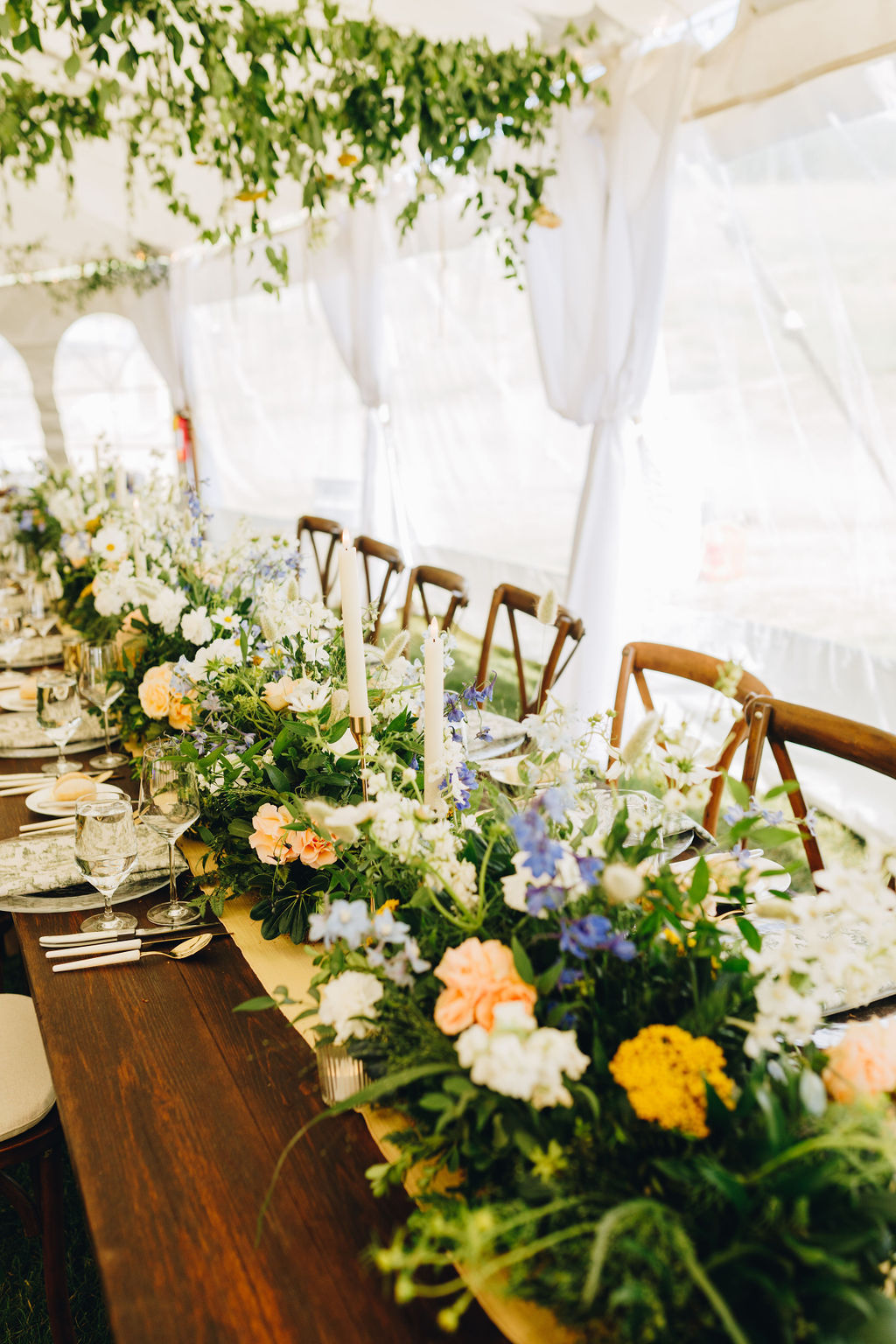 OliviaReedPhoto-51 (1)