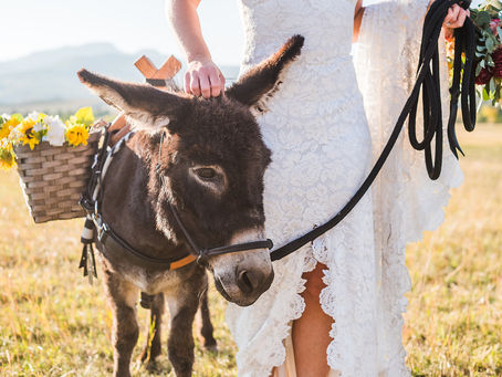 2021 Colorado Wedding Trends & Inspiration Yearbook 