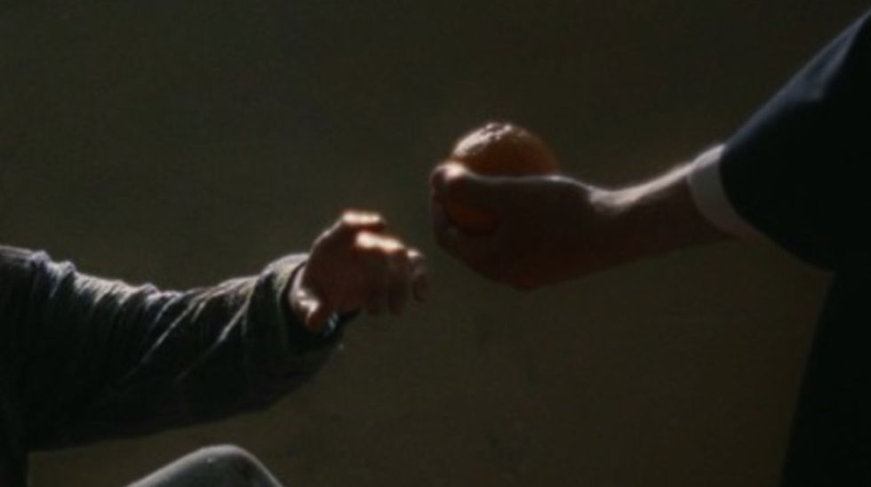 Dettaglio di Marta Nuti e Radu Murarasu ne I giorni delle arance