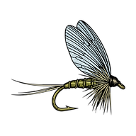 Mayfly.png