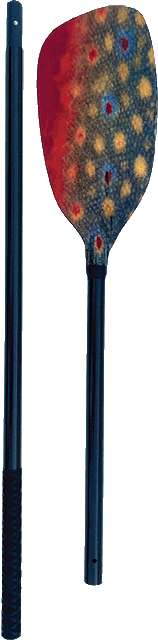2025-Carbon-Oars-copy.gif
