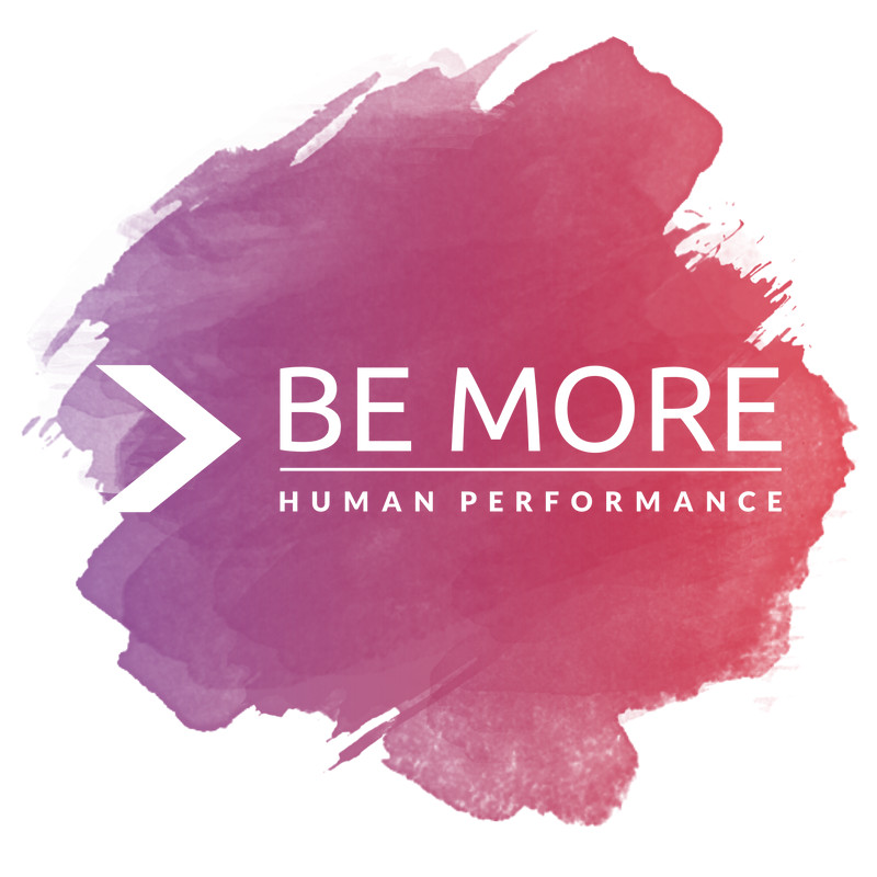 Be More Human Performance