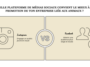 Instagram ou Facebook pro animalier : quel réseau choisir quand on débute ?