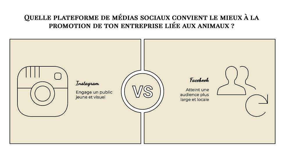 Instagram ou Facebook pro animalier : quel réseau choisir quand on débute ?