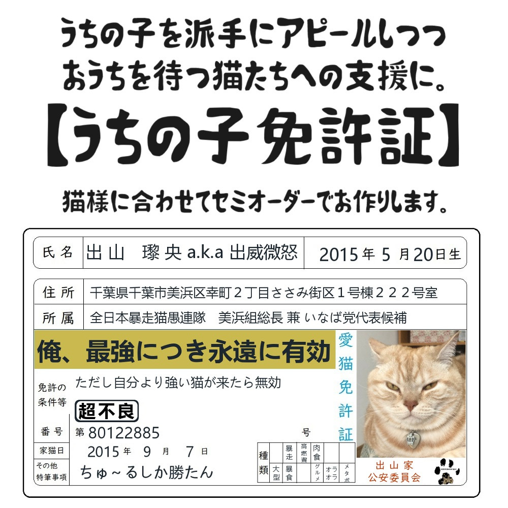 うちの子免許証 表面データのみ