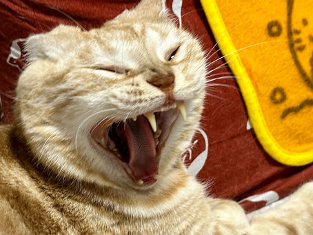 年末年始のご挨拶