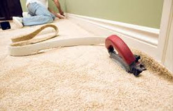 Carpet